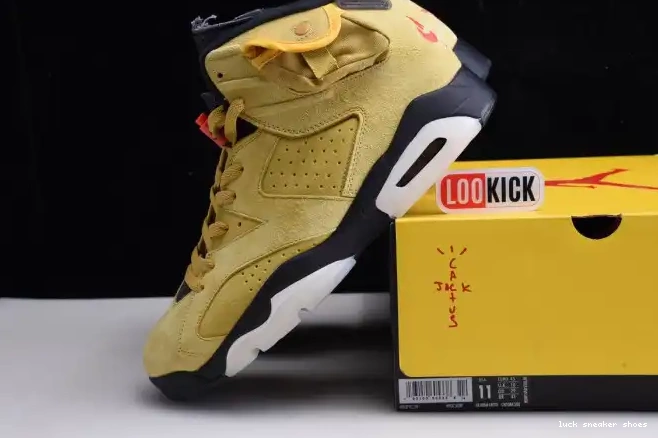Reps LUCY YELLOW X JORDAN SCOTT AIR 6 CN1084-300 TRAVIS 0511